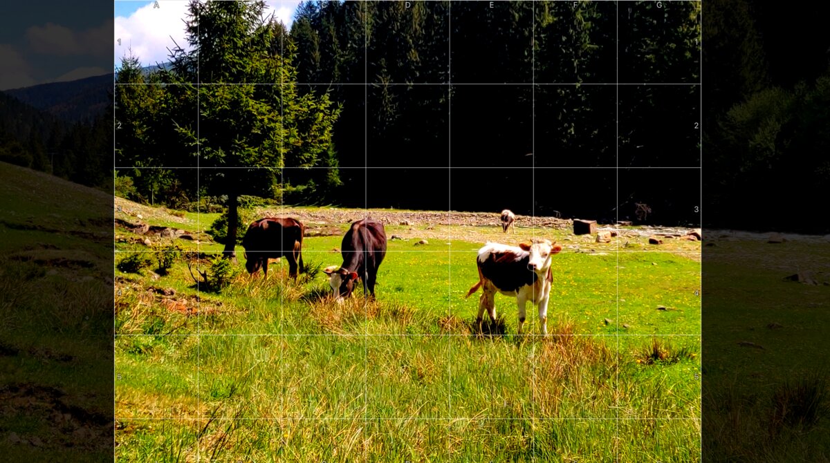 Full-screen reference mode showing a gridded drawing reference filling the entire screen with no toolbar or sidebar visible