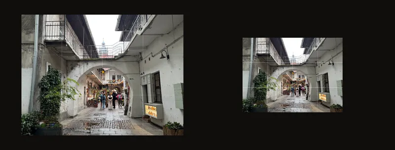The same reference in Fit and Actual size views, with different displayed image sizes