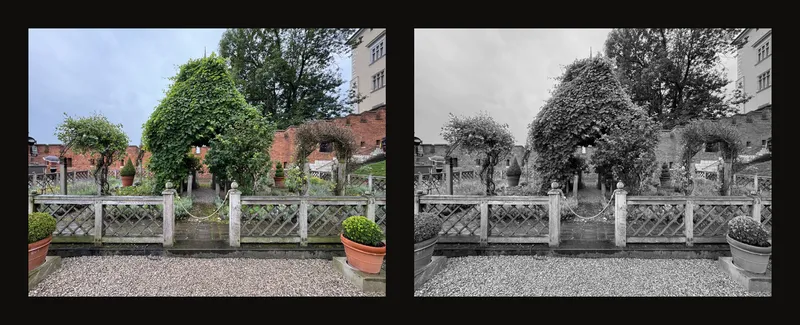The same garden photograph in colour and grayscale