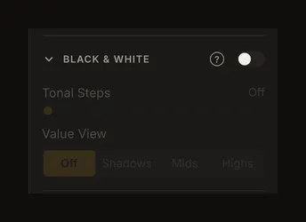Black and white switched off, with tonal steps and value view dimmed