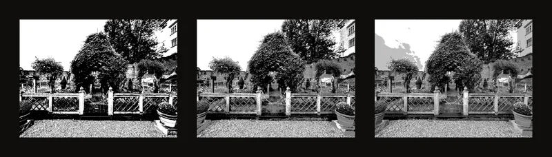 One garden reference simplified into two, three and five grayscale levels