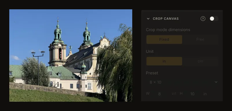 Crop Canvas settings dimmed while its switch is off