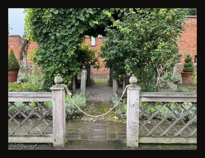 A closer photograph of the same garden, with the gate and vine filling the frame