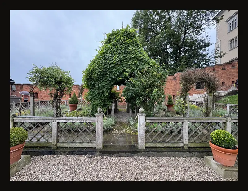 A wider garden photograph with the path, fence and surrounding walls