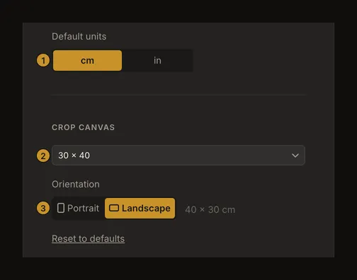 Settings with centimetres, a default canvas size and landscape orientation selected