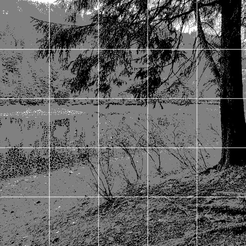 Referensfotot posteriserat till tre värden med ett nät av kvadratiska celler överlagt