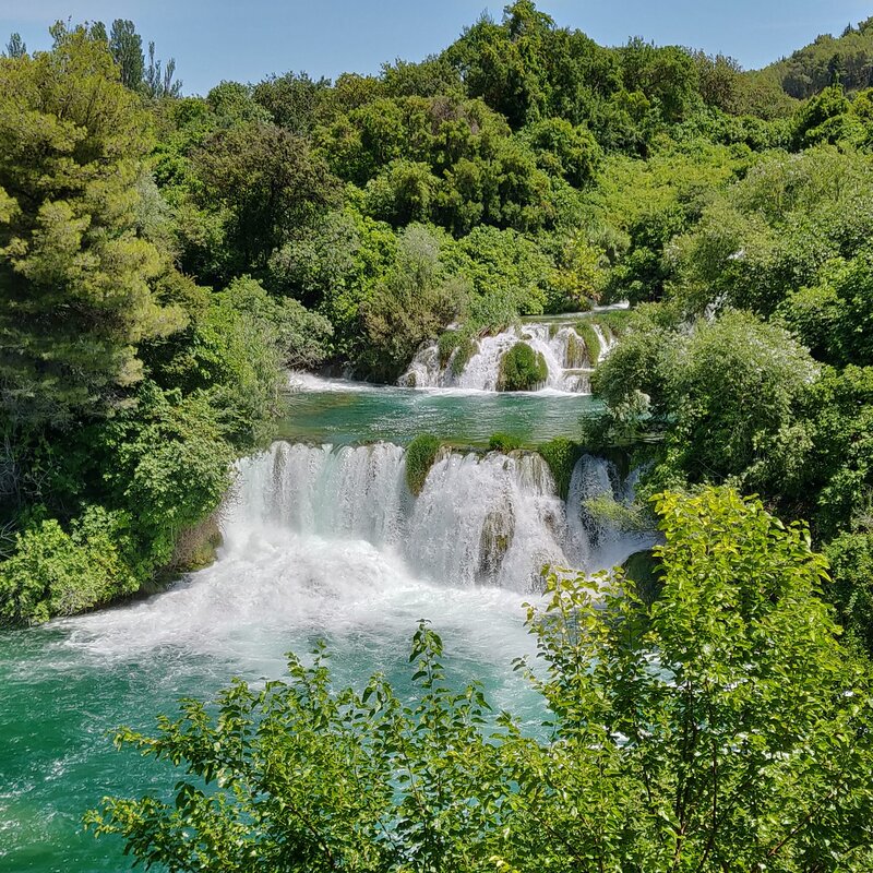 The reference photo in original color