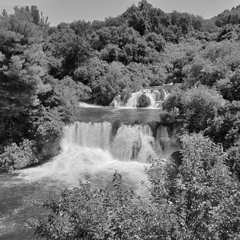 The reference photo converted to grayscale