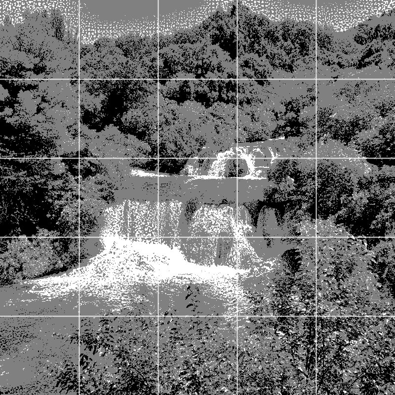 The reference photo posterized to three values with a square-cells drawing grid overlay